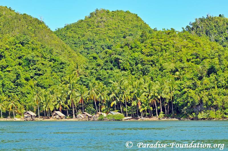 mangrove-0043.jpg