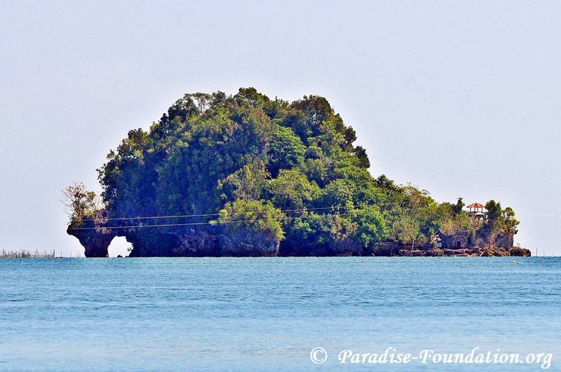 mangrove-0060.jpg