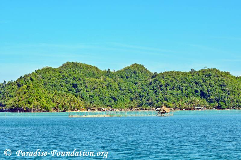 mangrove-0065.jpg